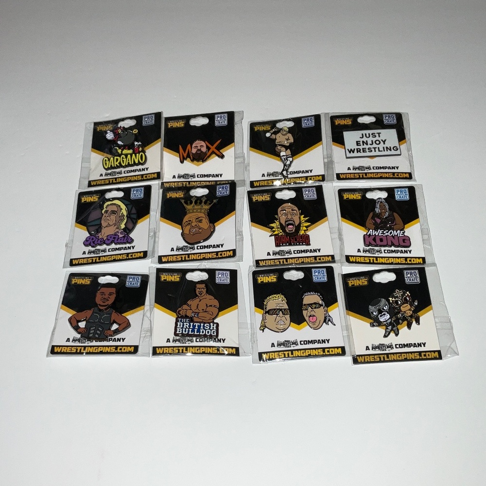 12 Pro Wrestling Crate Wrestling Lapel Pins. Moxley/Rhodes/Flair/Kong/Bulldog.